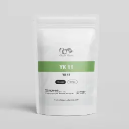 YK11 YK11